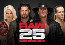 WWE RAW 25